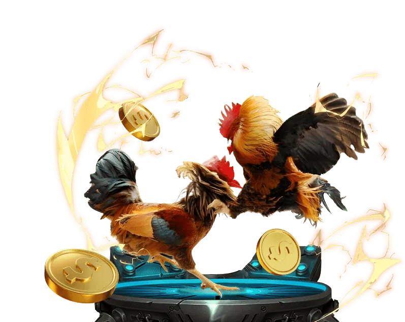 Giấy phép hoạt động hợp pháp